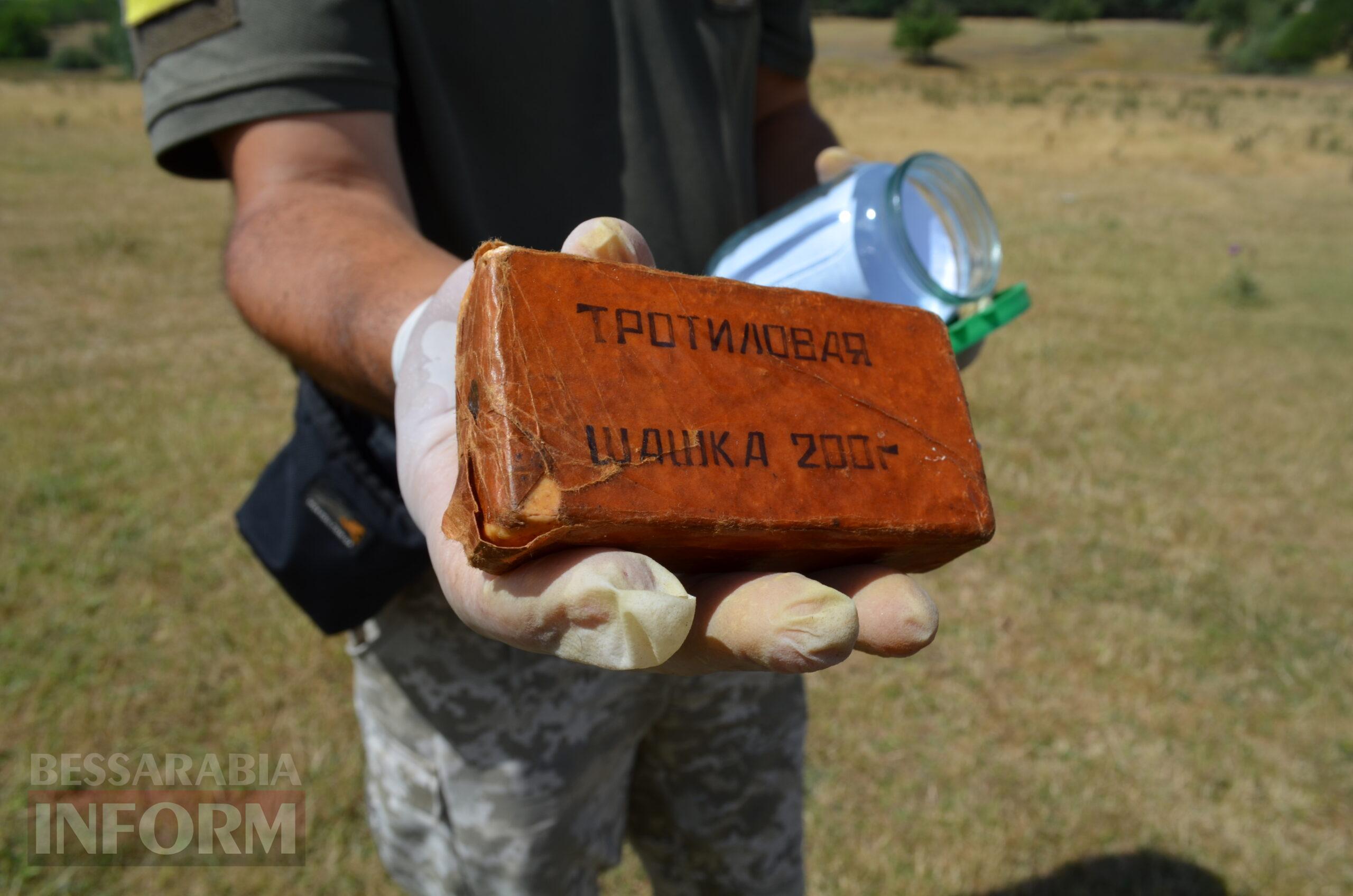 Службовий собака – вірний друг прикордонника: як несуть варту справжні напарники на пункті пропуску Одещини