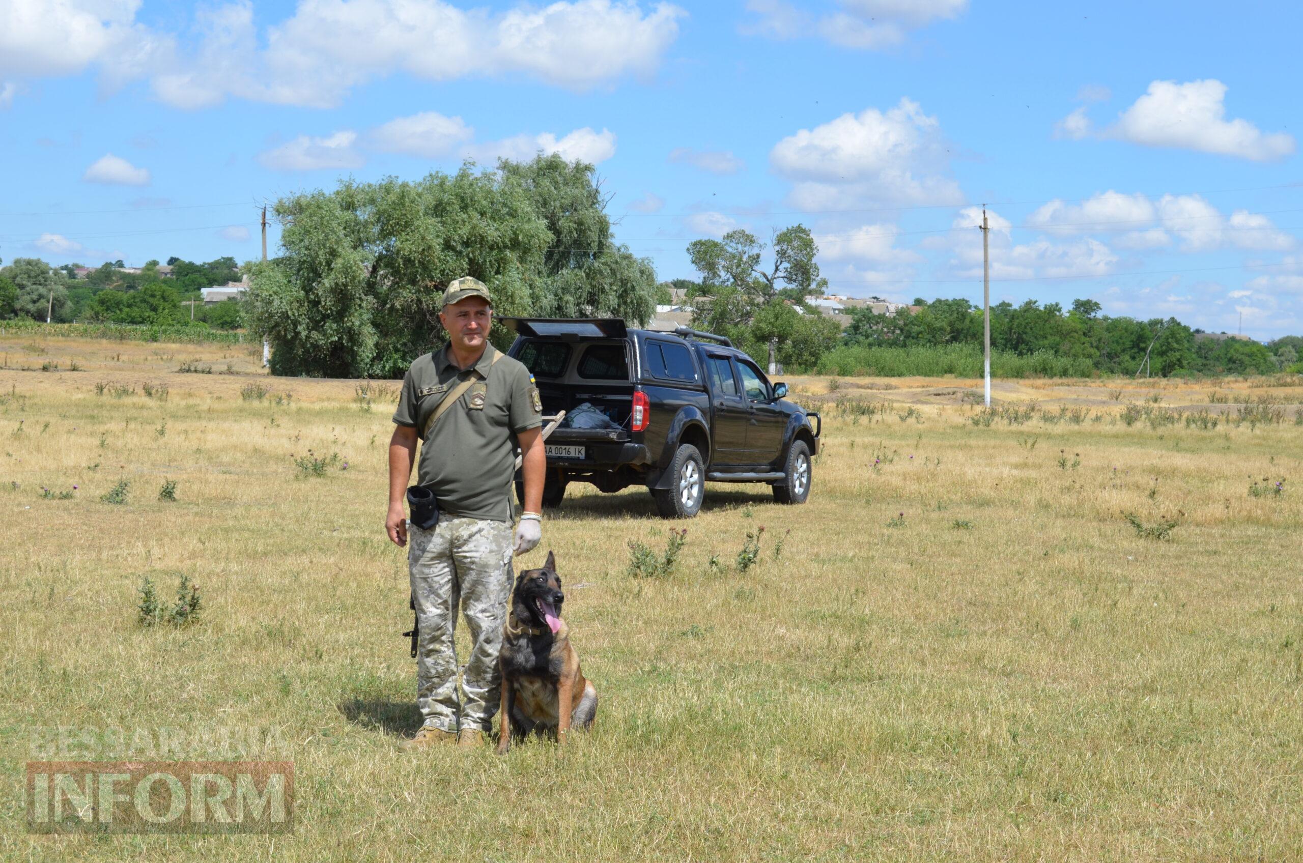 Службовий собака – вірний друг прикордонника: як несуть варту справжні напарники на пункті пропуску Одещини