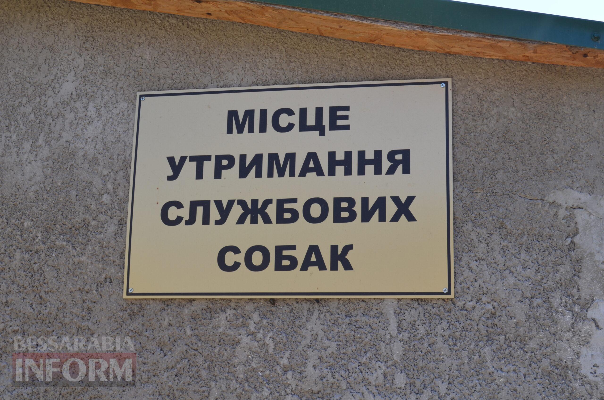 Службовий собака – вірний друг прикордонника: як несуть варту справжні напарники на пункті пропуску Одещини