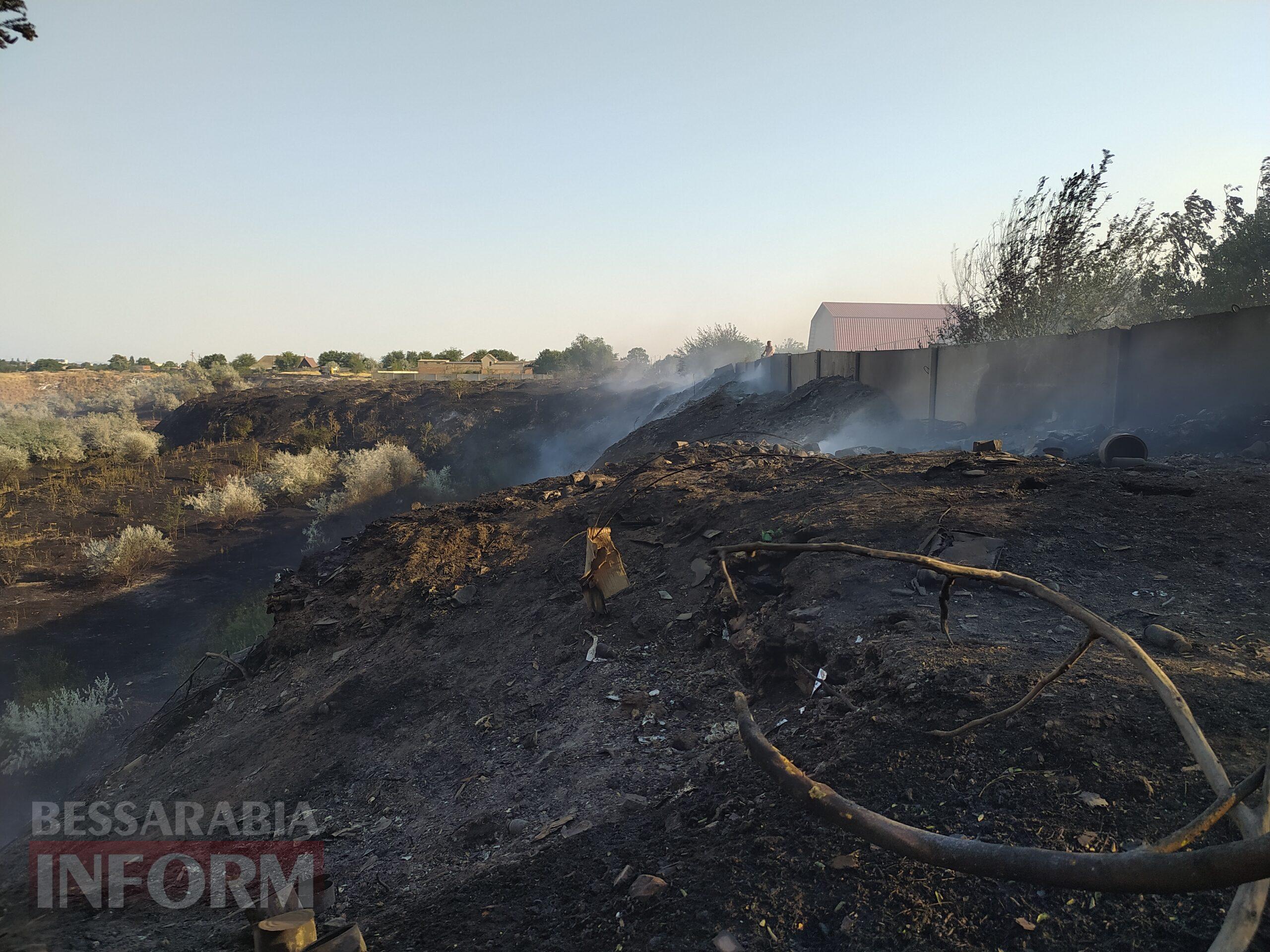 Разом подолали полум’я: ізмаїльські волонтери та містяни врятували від пожежі притулок для тварин