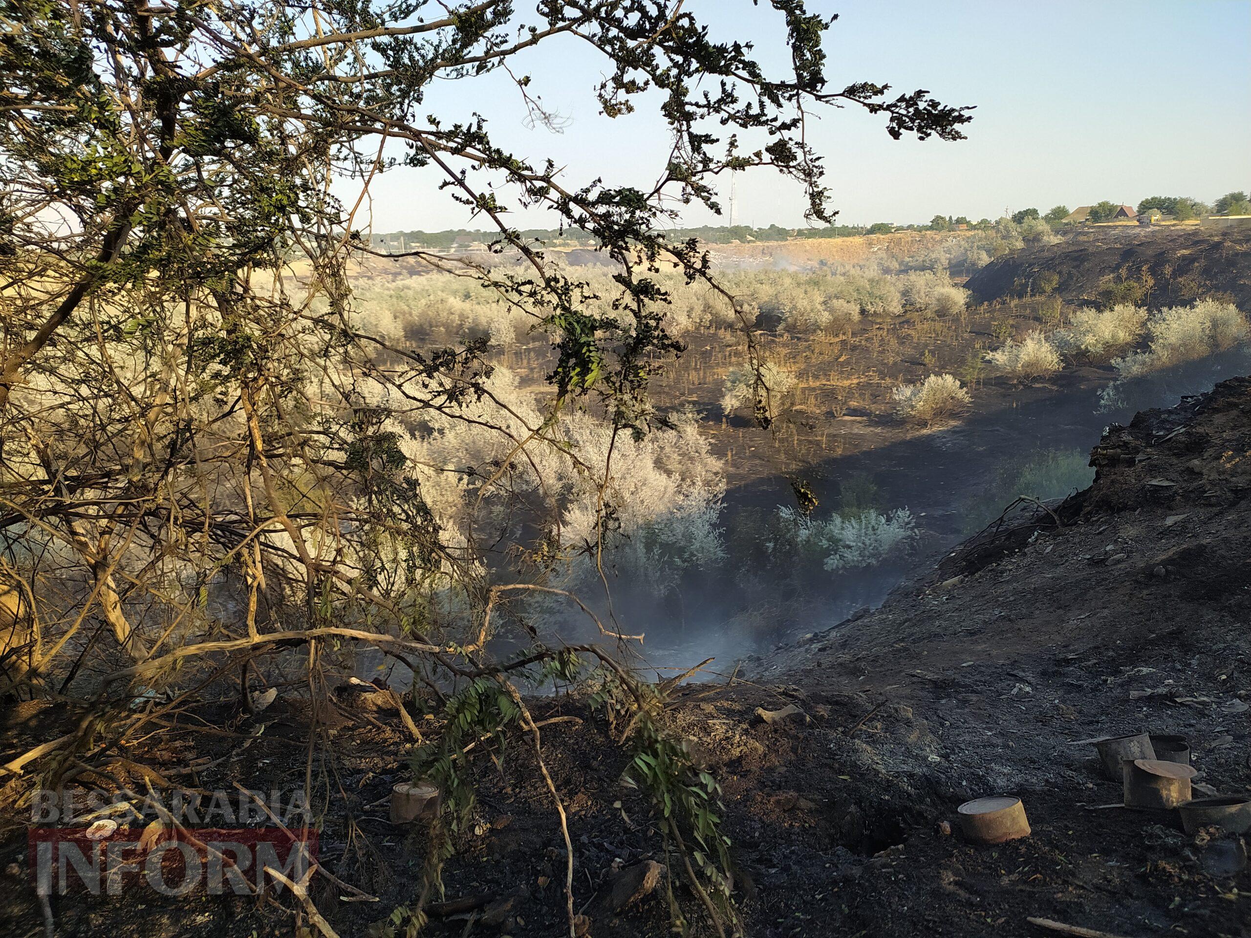 Разом подолали полум’я: ізмаїльські волонтери та містяни врятували від пожежі притулок для тварин