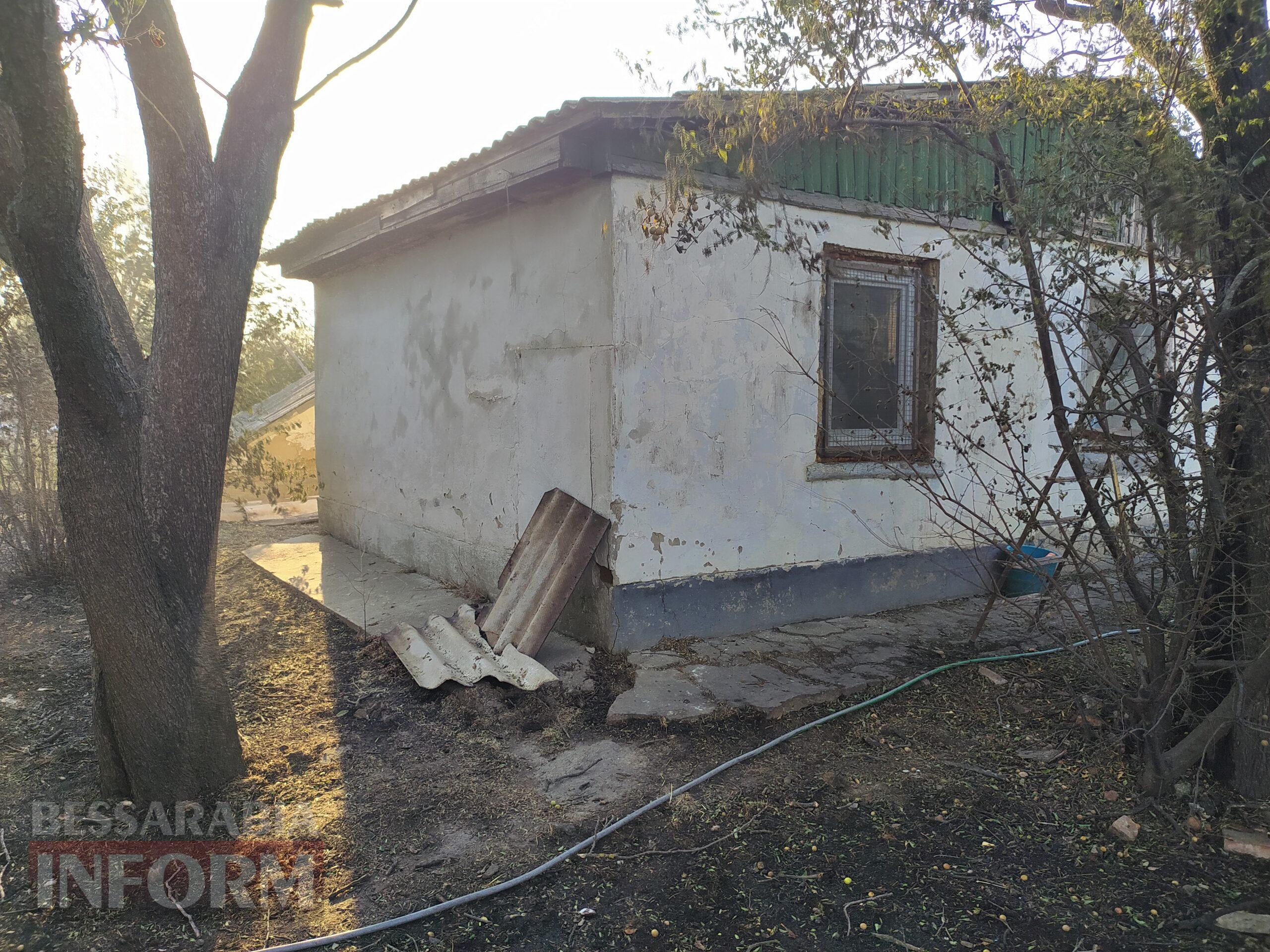 Разом подолали полум’я: ізмаїльські волонтери та містяни врятували від пожежі притулок для тварин