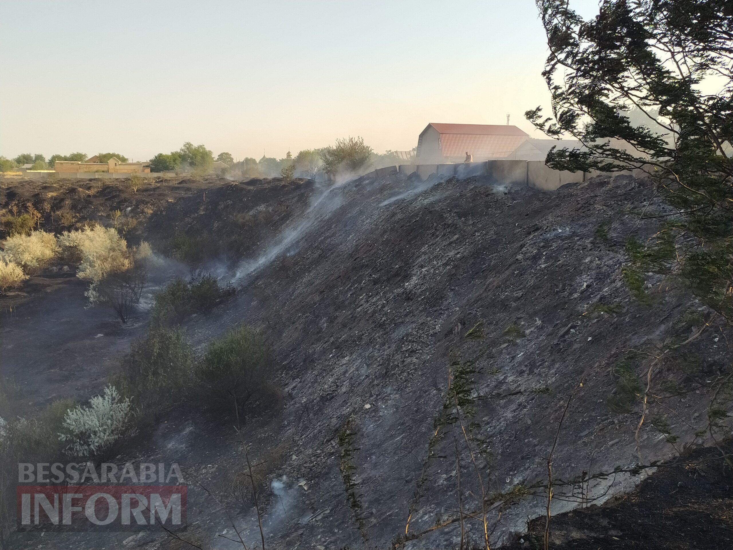 Разом подолали полум’я: ізмаїльські волонтери та містяни врятували від пожежі притулок для тварин