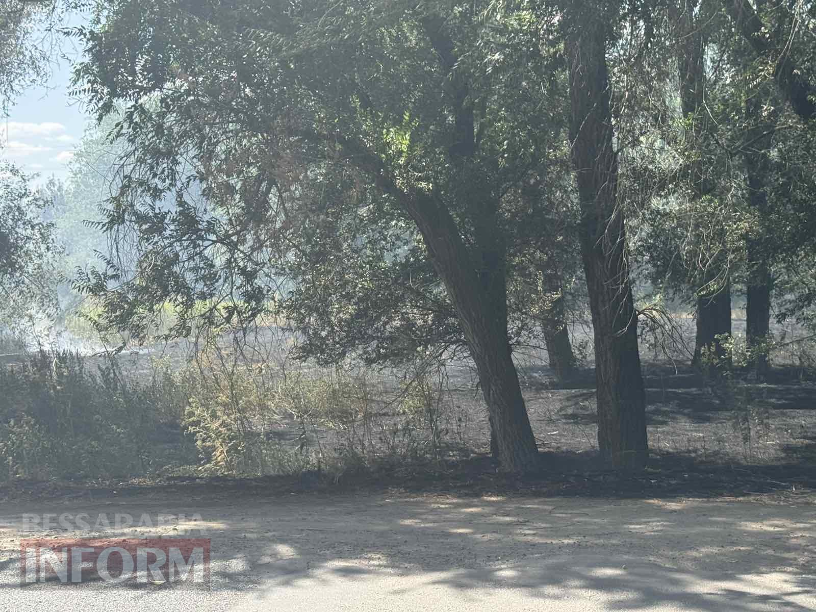 Масштабна пожежа в Арцизі: від сухої трави спалахнула автівка (додано фото)