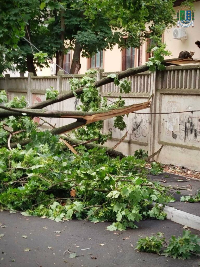 Деякими районами Ізмаїла пройшлася негода