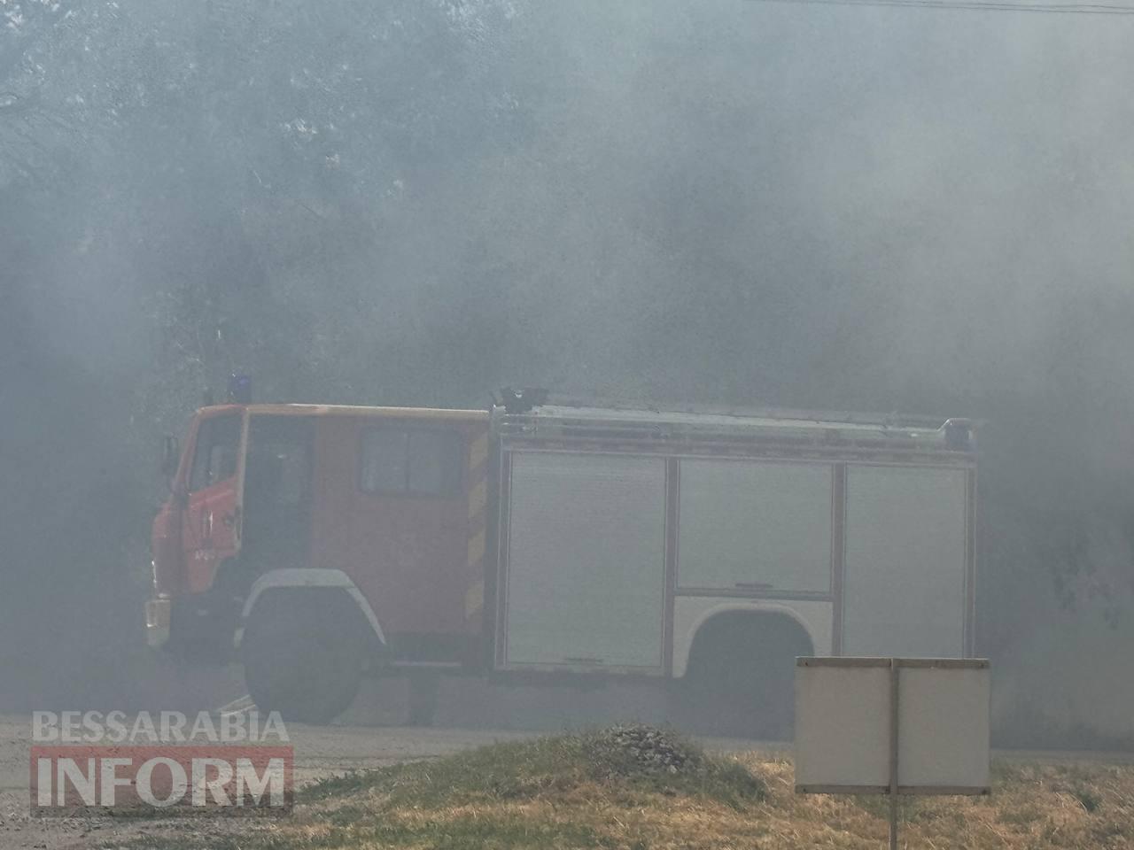 Масштабна пожежа в Арцизі: від сухої трави спалахнула автівка (додано фото)