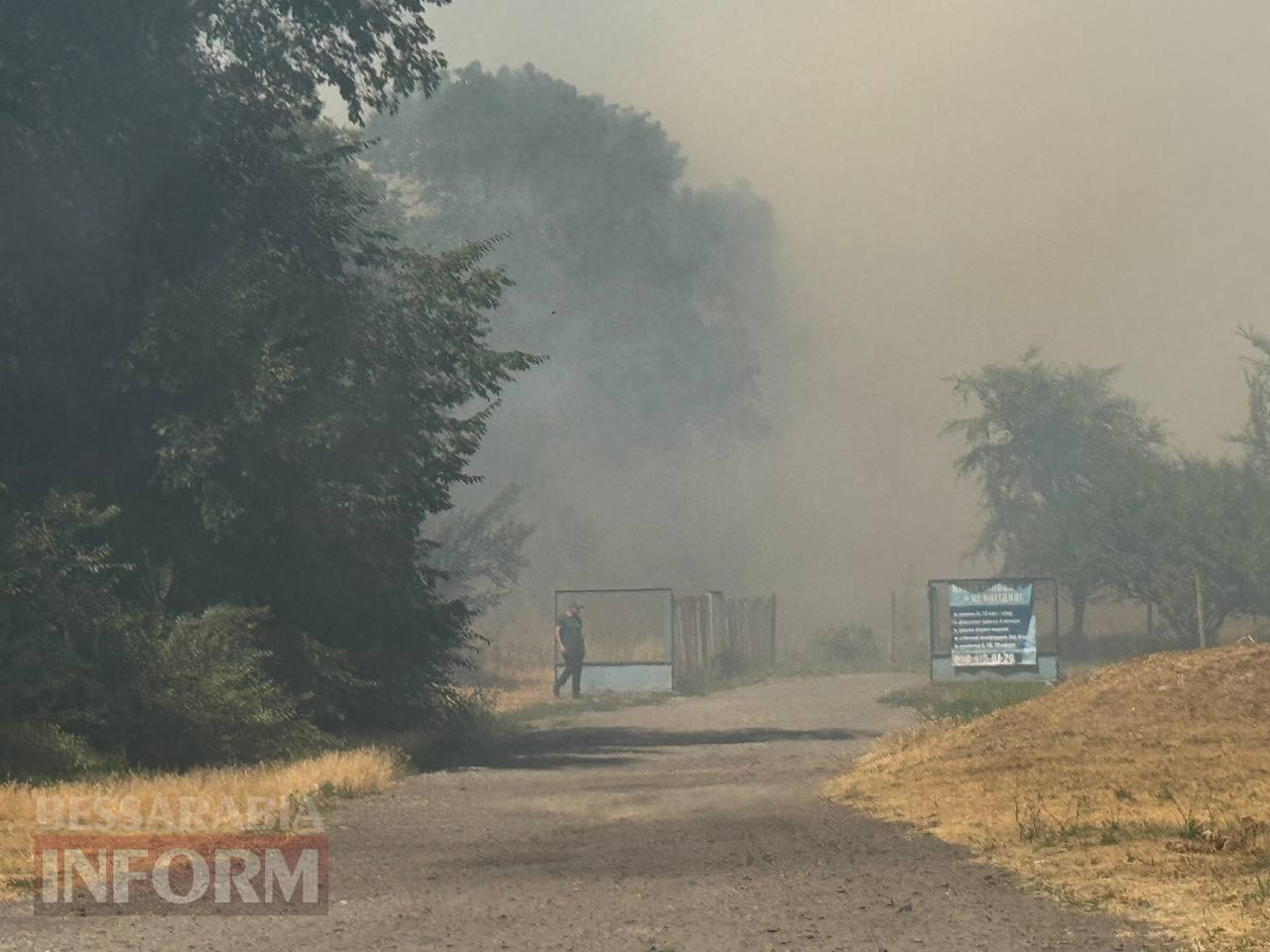 Масштабна пожежа в Арцизі: від сухої трави спалахнула автівка (додано фото)
