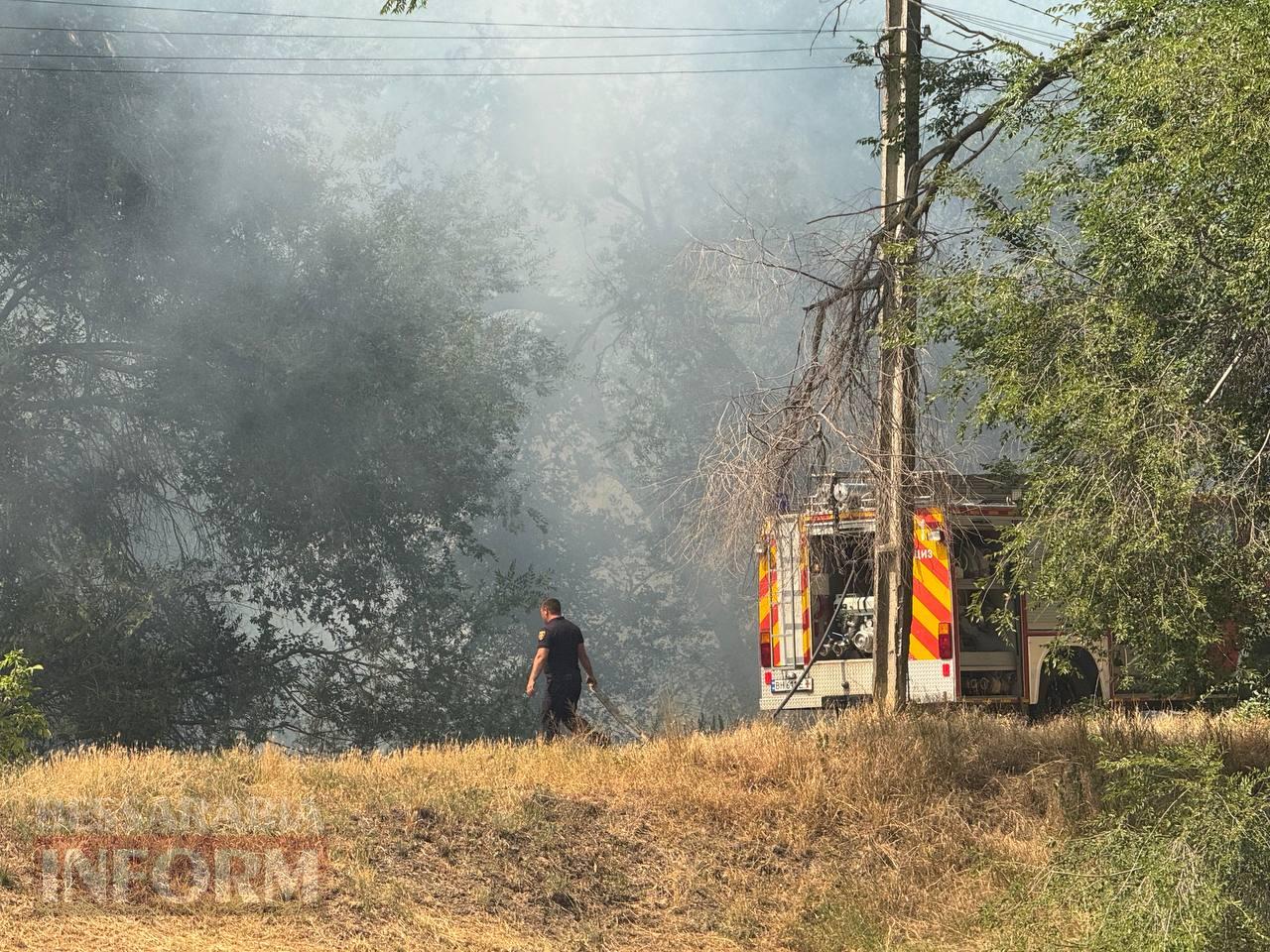 Масштабна пожежа в Арцизі: від сухої трави спалахнула автівка (додано фото)