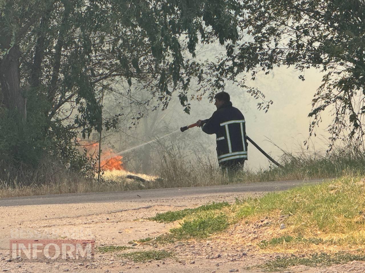Масштабна пожежа в Арцизі: від сухої трави спалахнула автівка (додано фото)