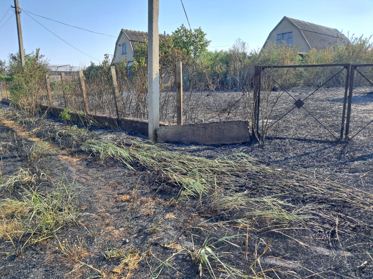 Випалювання сухої трави в Ізмаїльському районі призвело до загибелі жінки - підозрюваного затримано