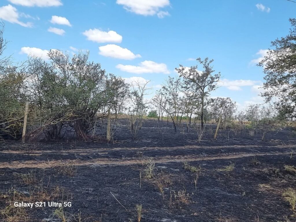 У двох селах Білгород-Дністровщини сталися руйнівні пожежі
