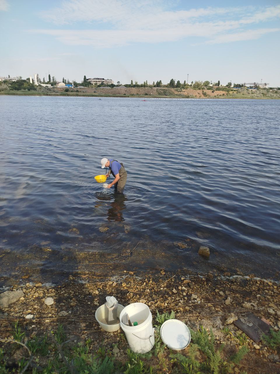 Науковці обстежили водойми Причорномор’я: що виявили