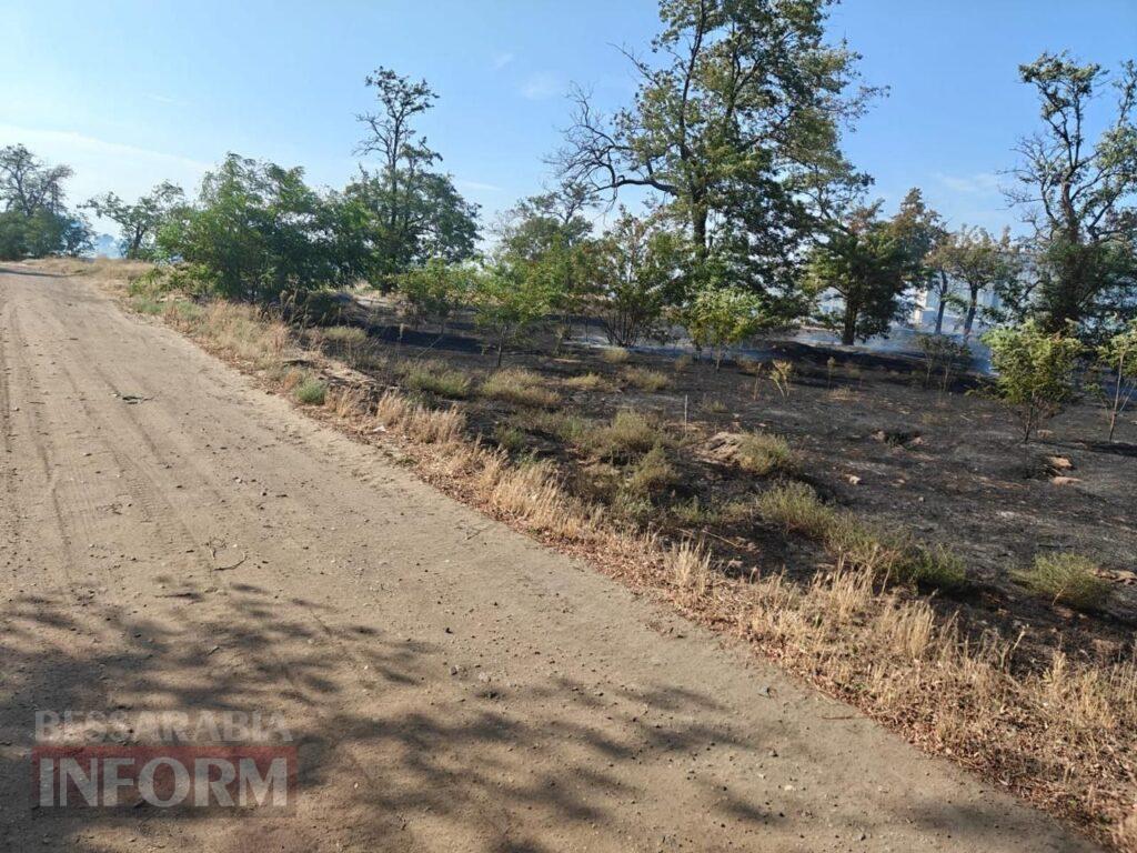 На Білгород-Дністровщині не вщухають масштабні пожежі: рятувальники отримують до 16 викликів одночасно