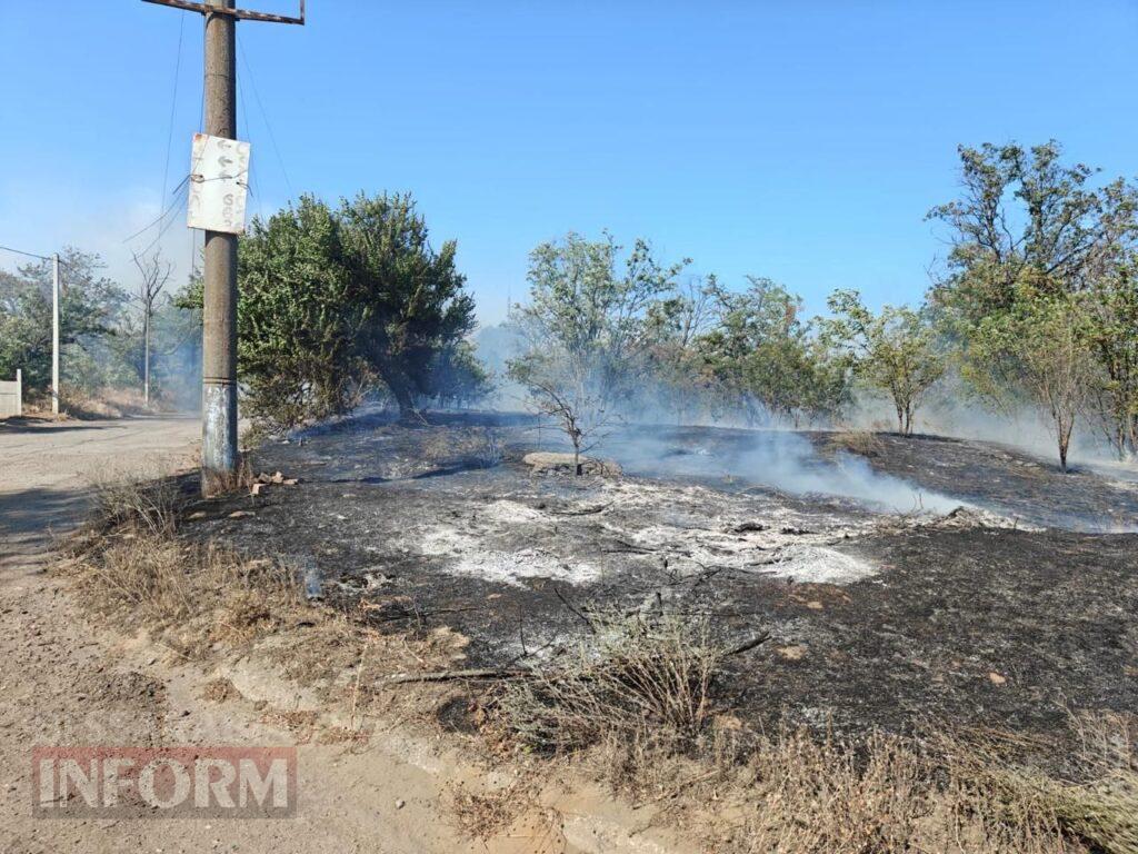 На Білгород-Дністровщині не вщухають масштабні пожежі: рятувальники отримують до 16 викликів одночасно