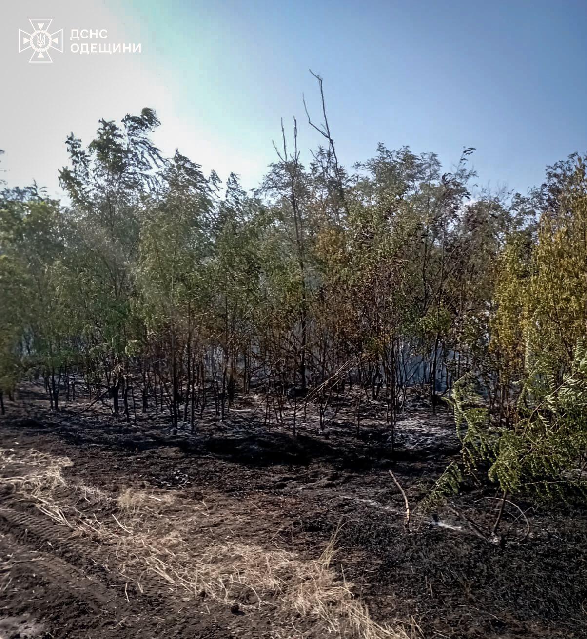 Пожежі завдали довкіллю Одещини збитків на 28 мільярдів гривень