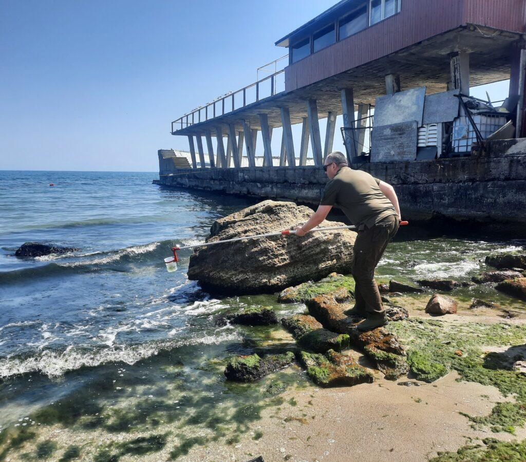 Морська вода на узбережжі стала зеленою від водоростей: екологи Одещини дізнаються причини