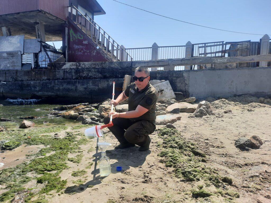 Морська вода на узбережжі стала зеленою від водоростей: екологи Одещини дізнаються причини