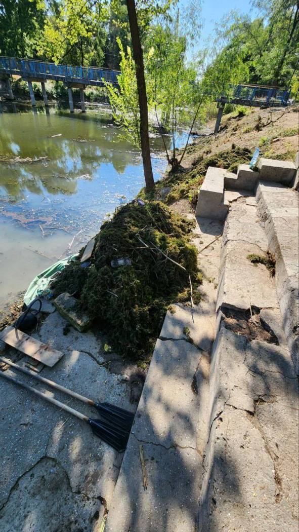 Кілійці, які взялися очистити водойму у місцевому парку, були шоковані "знахідками" людської безвідповідальності