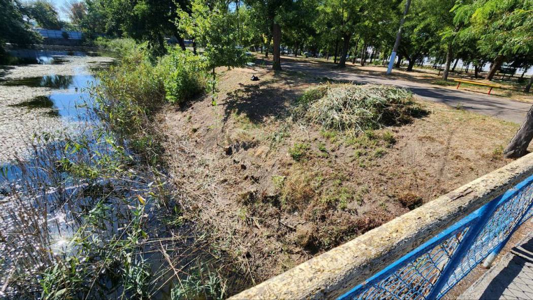Кілійці, які взялися очистити водойму у місцевому парку, були шоковані "знахідками" людської безвідповідальності