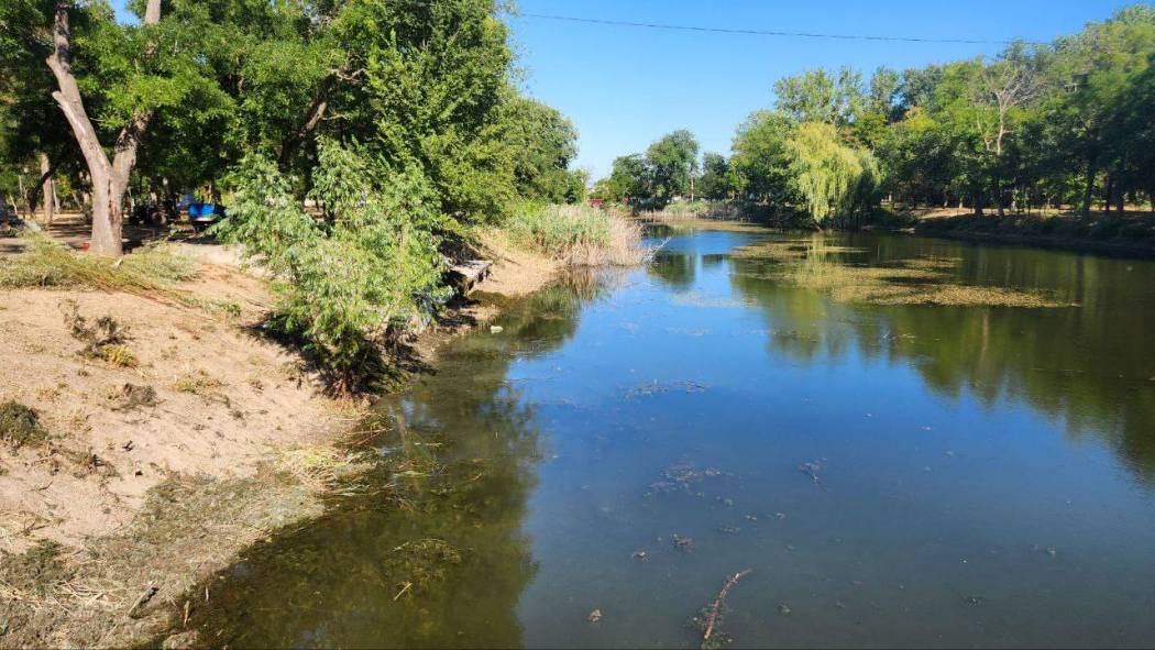 Кілійці, які взялися очистити водойму у місцевому парку, були шоковані "знахідками" людської безвідповідальності