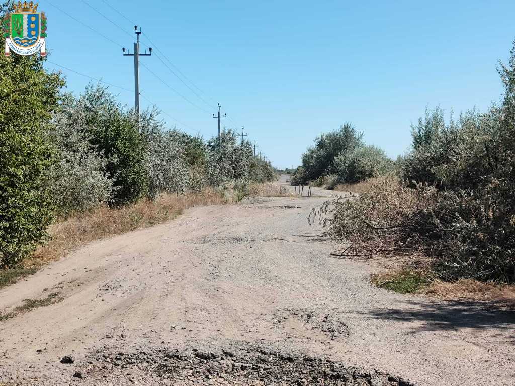 Підрядник очищує дорогу Кілія-Ліски від очерету та кущів, щоб продовжити ремонтні роботи