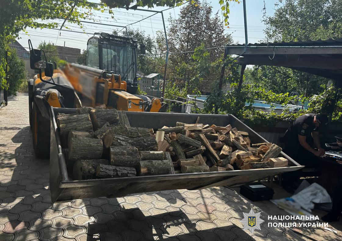 Поліцейські викрили чорних лісорубів, які знешкоджували лісосмуги Одещини