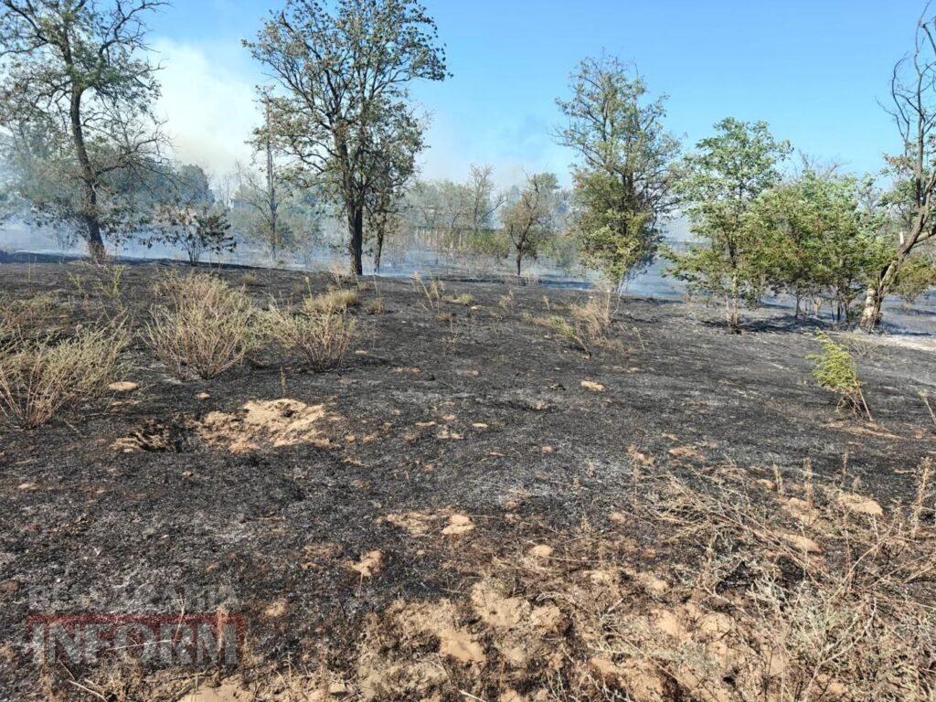 На Білгород-Дністровщині не вщухають масштабні пожежі: рятувальники отримують до 16 викликів одночасно