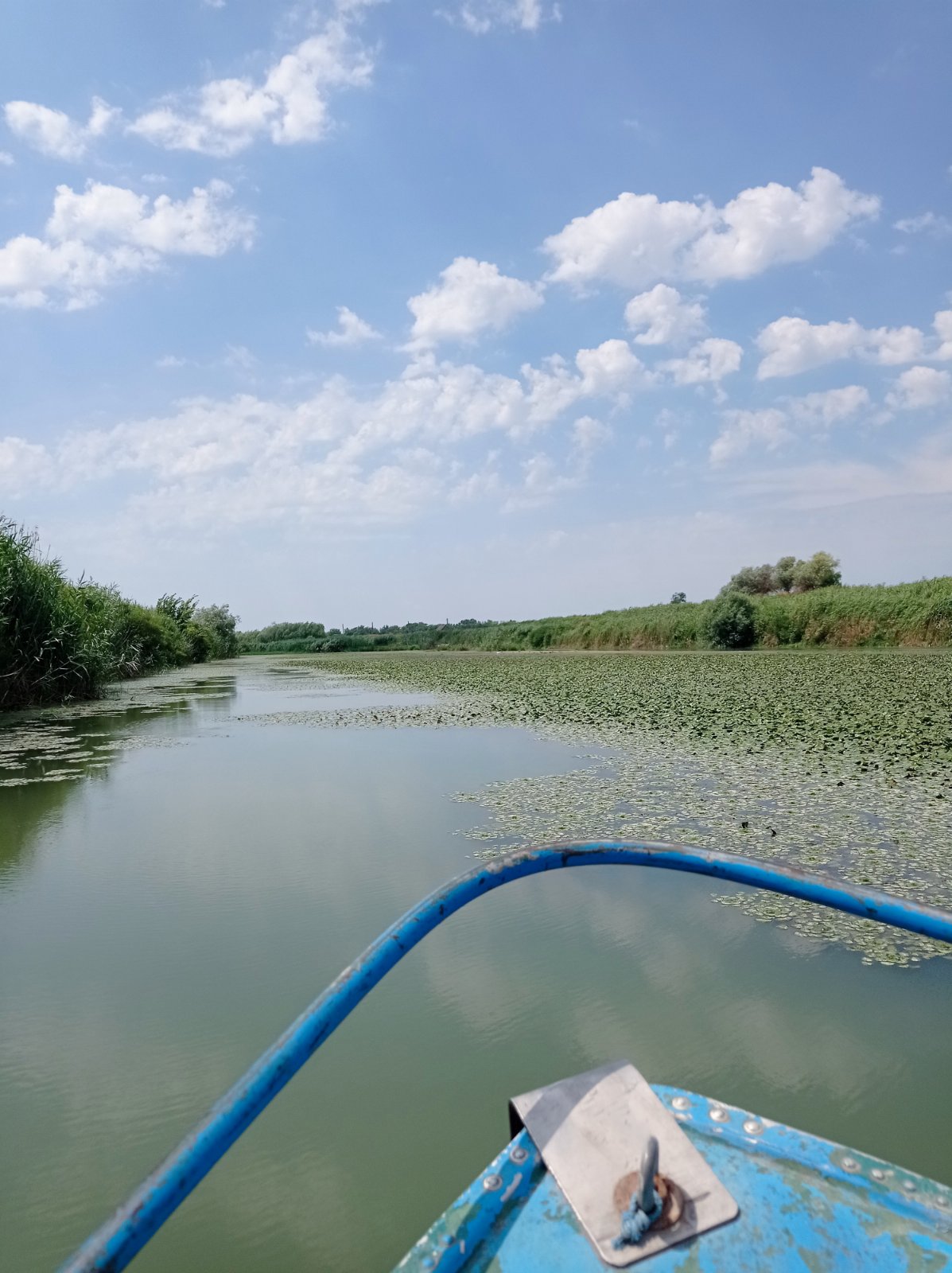 На півдні Одещини відновлюють пропускну спроможність важливого для зрошення та водозабезпечення каналу