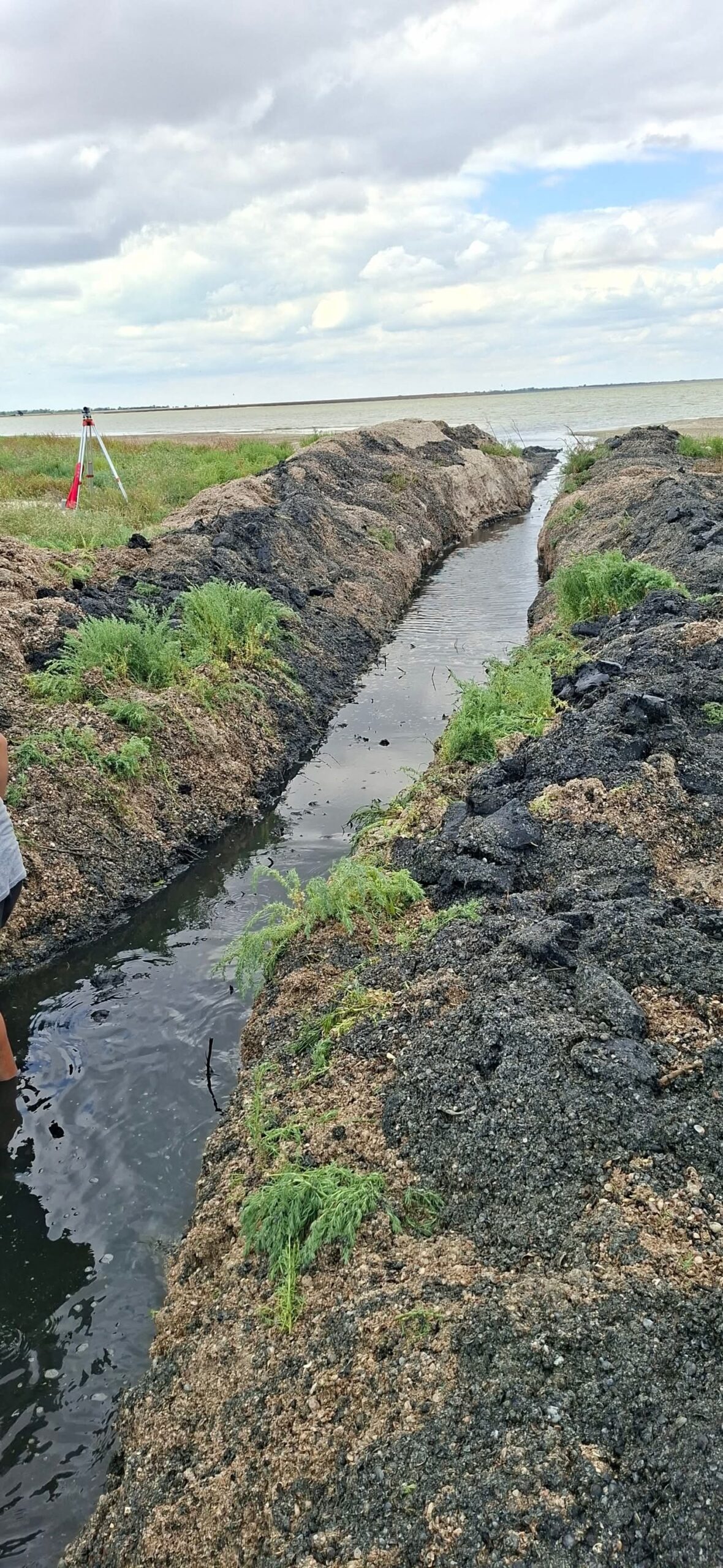 На Білгород-Дністровщині екологи та небайдужі мешканці самостійно відновили водообмін між лиманами