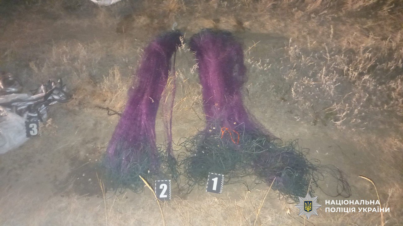 До трьох років позбавлення волі за 20 кілограмів кефалі: у заповіднику "Тузлівські лимани" викрили нічного браконьєра