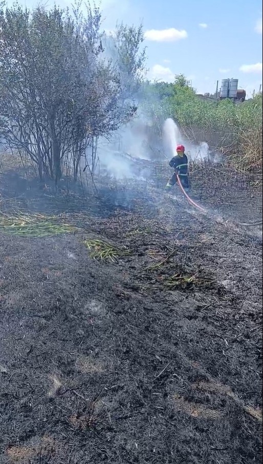 У селищі Білгород-Дністровського району місцева влада може спровокувати справжню екологічну катастрофу