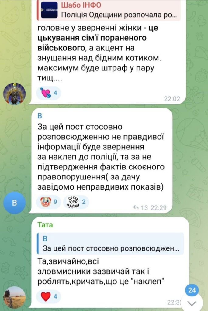 «Лев став останньою краплею»: власниця повішеного на паркані кота на Білгород-Дністровщині звинувачує сусіда у катуванні улюбленця сім'ї