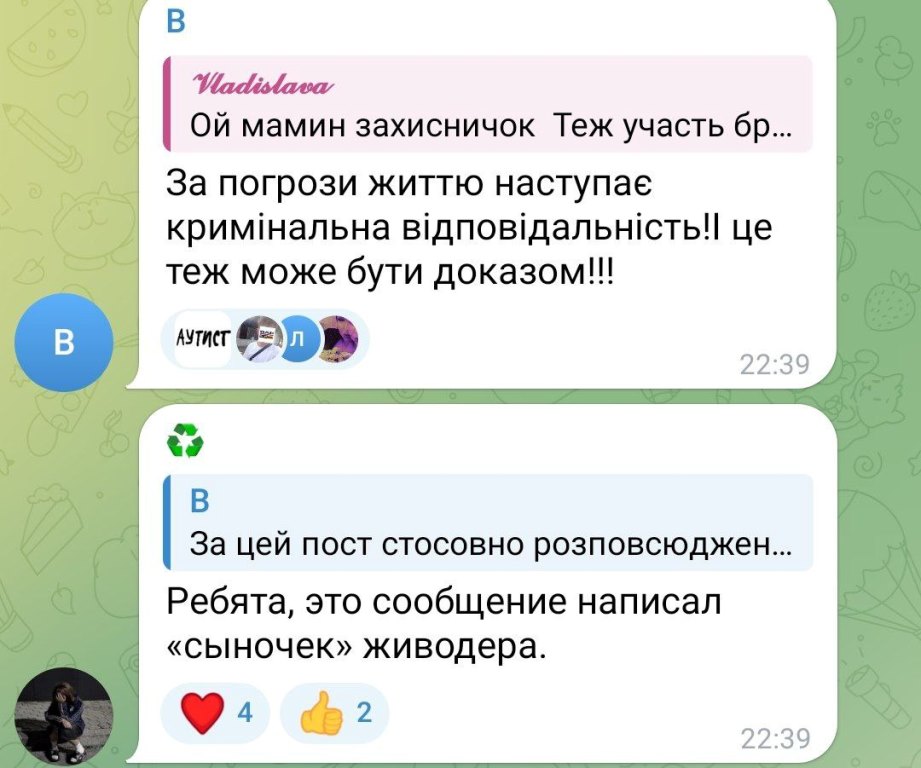 «Лев став останньою краплею»: власниця повішеного на паркані кота на Білгород-Дністровщині звинувачує сусіда у катуванні улюбленця сім'ї
