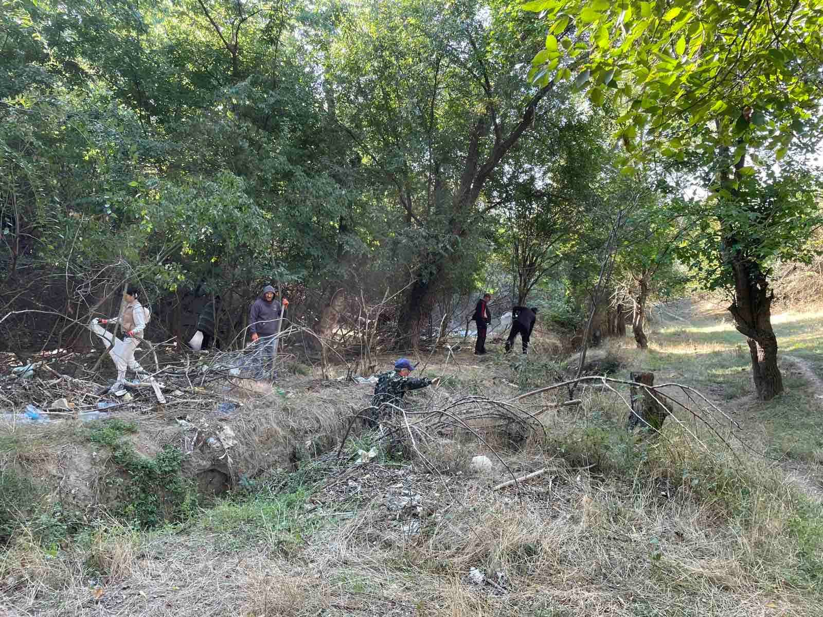 У Болградській громаді відбулася масштабна толока «Єдність заради чистоти та довкілля»