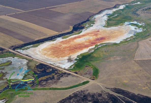 На півдні Одещини водойми перетворюються на соляні пустелі: причина