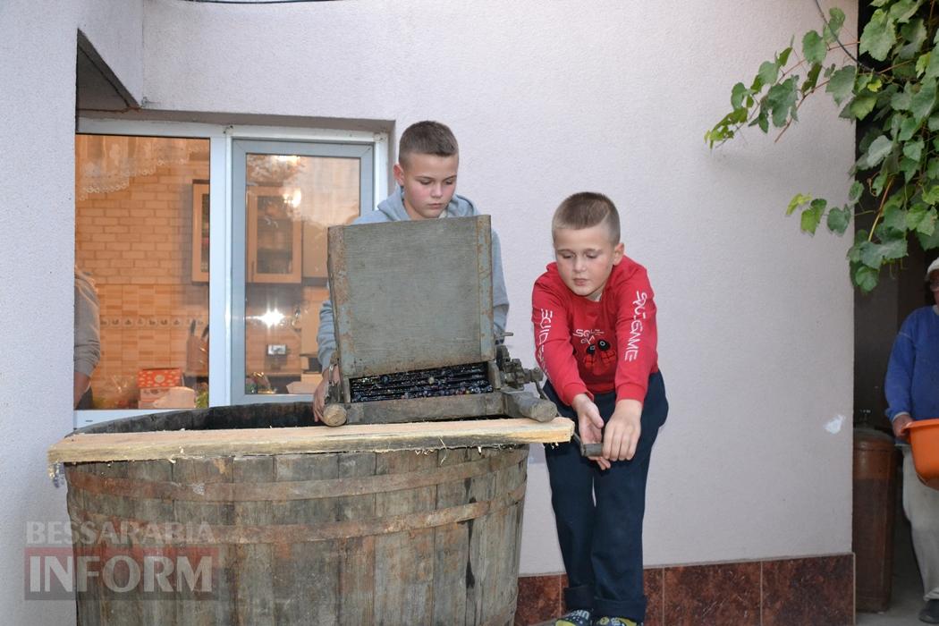 Сезон домашнього виноробства: як автохтонна лоза та родинні секрети народжують у Бессарабії унікальний напій з новака