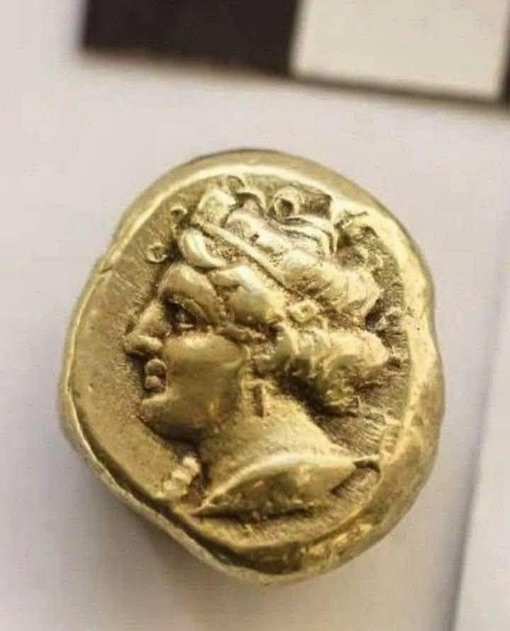 У селі Ренійської громади знайшли один з найбільших у світі скарбів давньогрецьких золотих монет