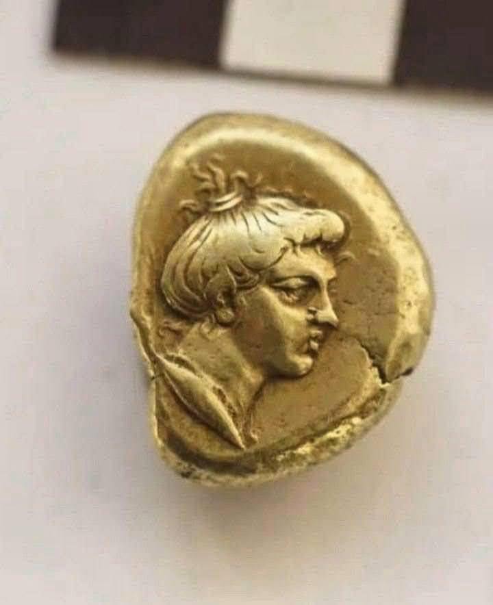У селі Ренійської громади знайшли один з найбільших у світі скарбів давньогрецьких золотих монет