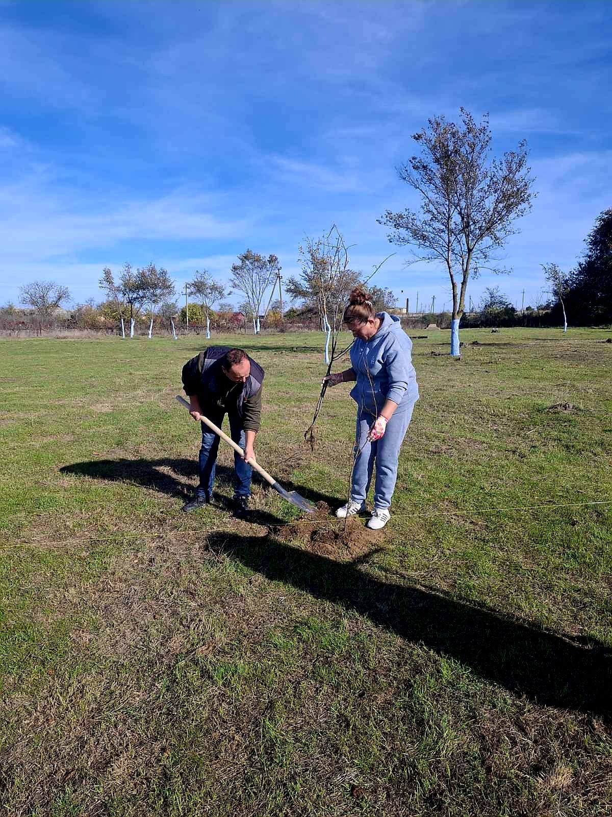 У селищі Ізмаїльського району завдяки благодійниці з Криничного висадили майже тисячу дерев
