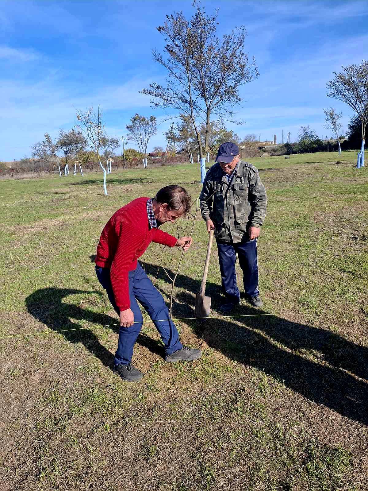 У селищі Ізмаїльського району завдяки благодійниці з Криничного висадили майже тисячу дерев
