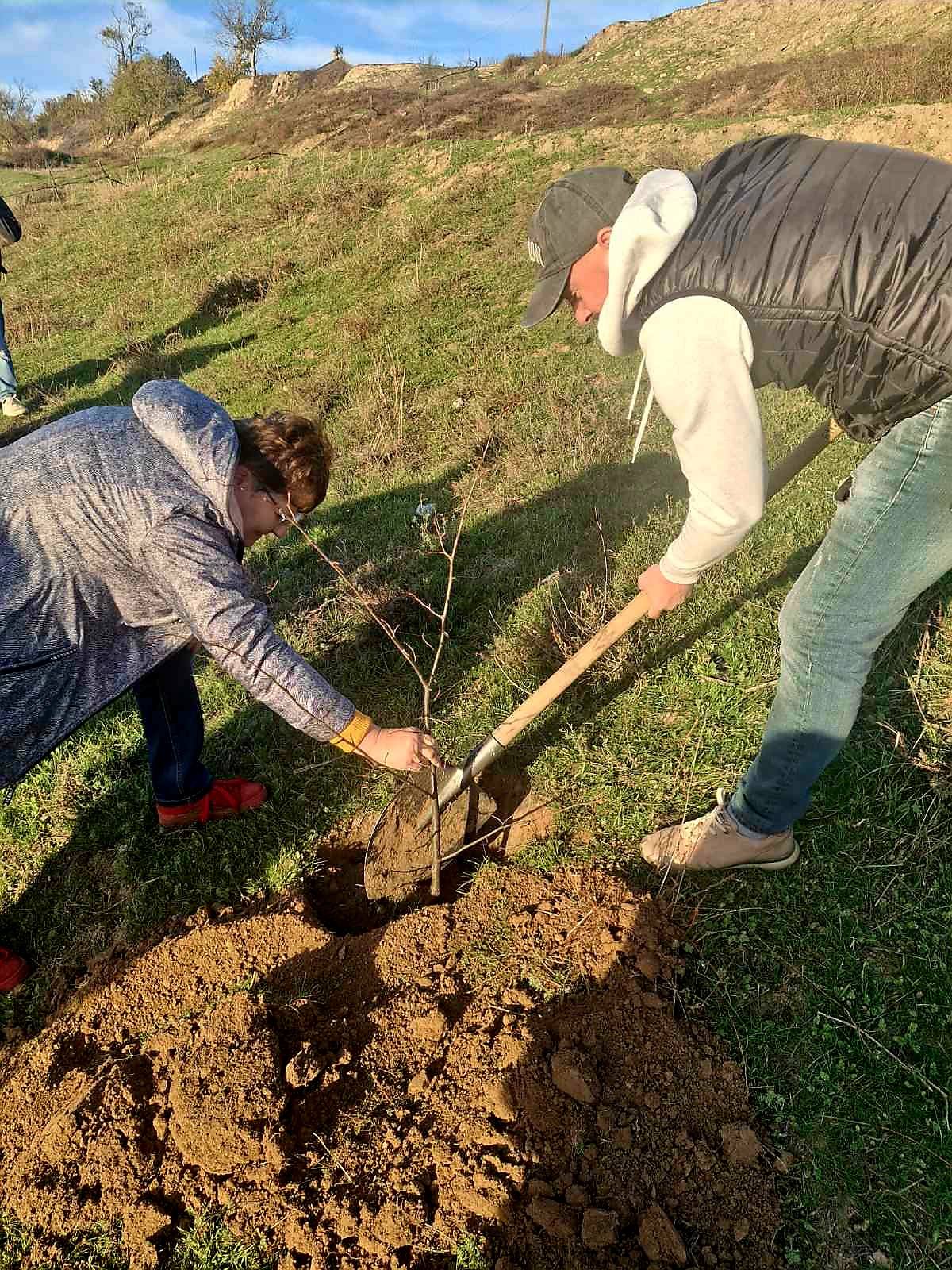 У селищі Ізмаїльського району завдяки благодійниці з Криничного висадили майже тисячу дерев