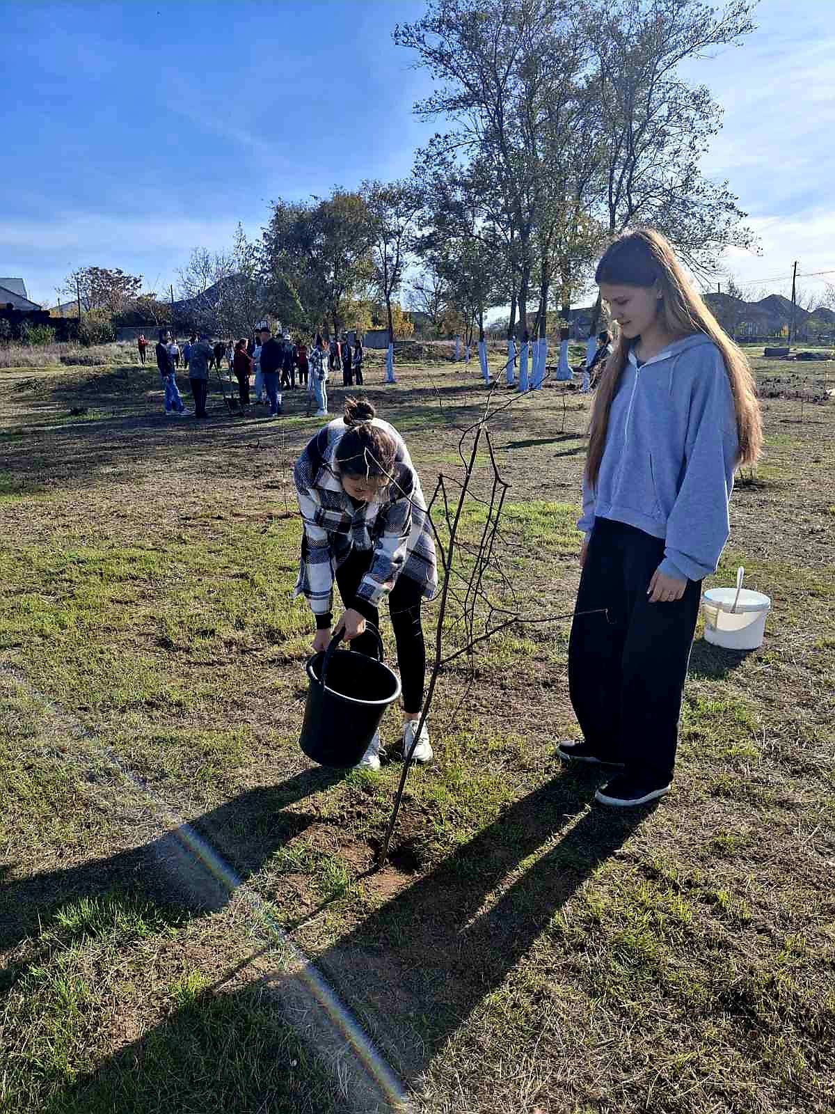 У селищі Ізмаїльського району завдяки благодійниці з Криничного висадили майже тисячу дерев