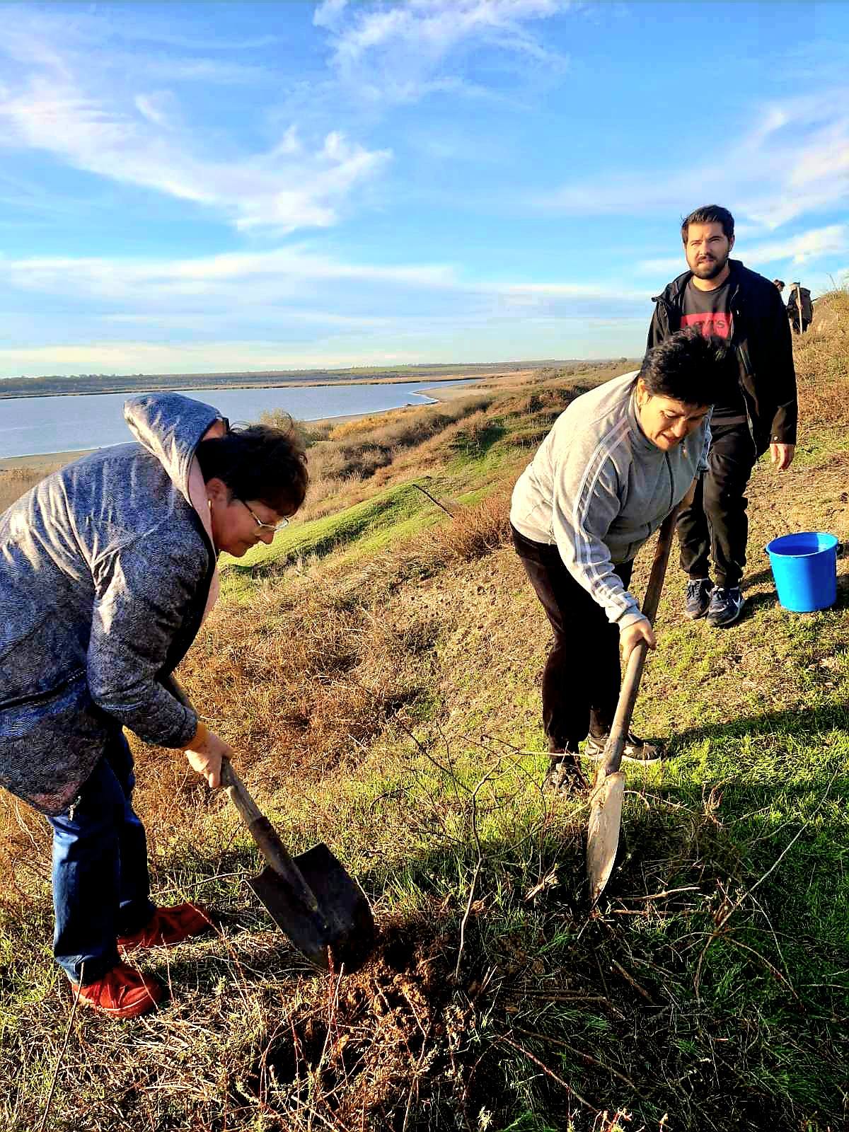 У селищі Ізмаїльського району завдяки благодійниці з Криничного висадили майже тисячу дерев