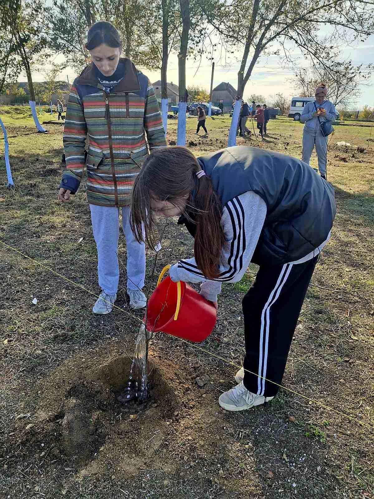 У селищі Ізмаїльського району завдяки благодійниці з Криничного висадили майже тисячу дерев