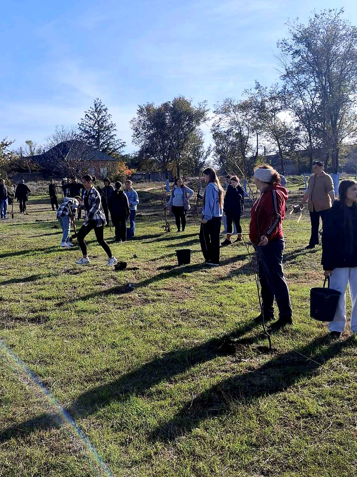 У селищі Ізмаїльського району завдяки благодійниці з Криничного висадили майже тисячу дерев