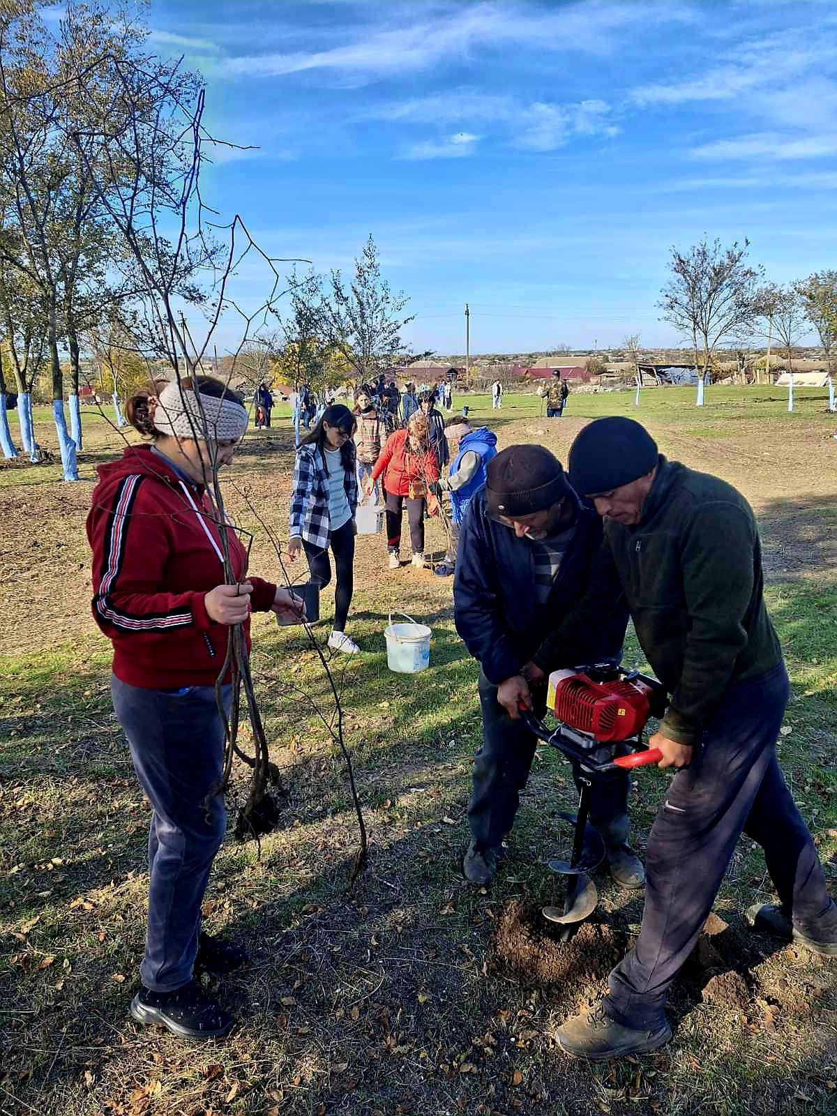 У селищі Ізмаїльського району завдяки благодійниці з Криничного висадили майже тисячу дерев