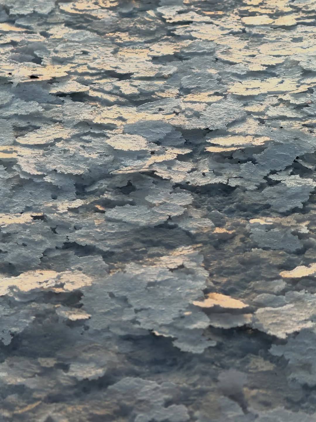 Як врятувати від зникнення Куяльницький лиман на Одещині