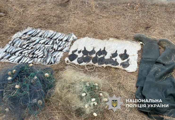 На Білгород-Дністровщині схопили браконьєра, який незаконно зловив більше 170 рибин кефалі та камбали