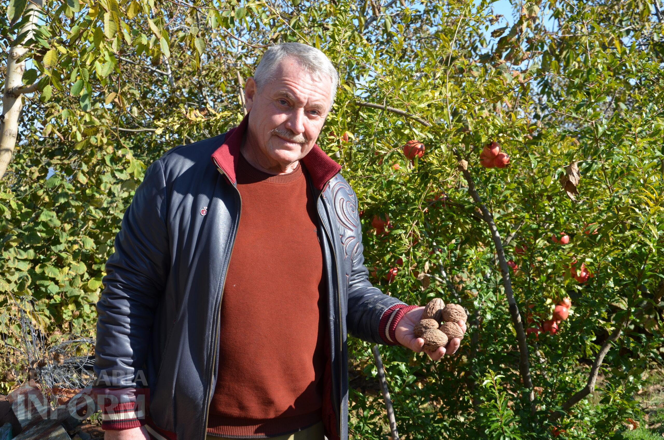 За екзотикою - майбутнє Бессарабії: селекціонер з-під Ізмаїла, що вивів найбільший у світі горіх, радить розбивати нові сади