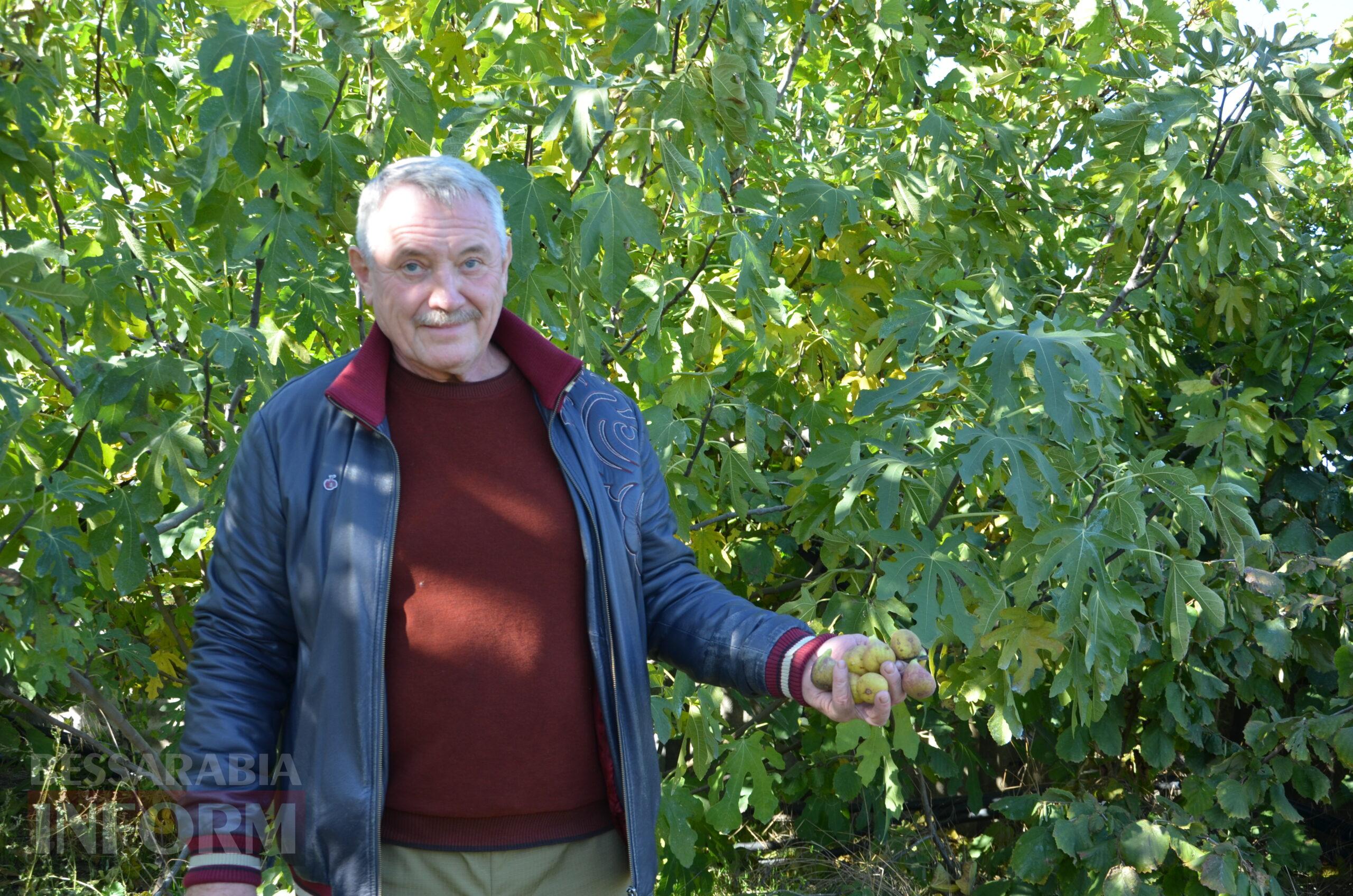 За екзотикою - майбутнє Бессарабії: селекціонер з-під Ізмаїла, що вивів найбільший у світі горіх, радить розбивати нові сади